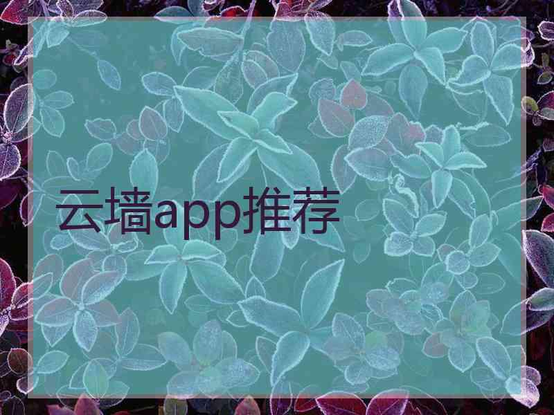 云墙app推荐