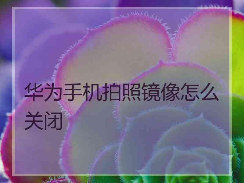 华为手机拍照镜像怎么关闭