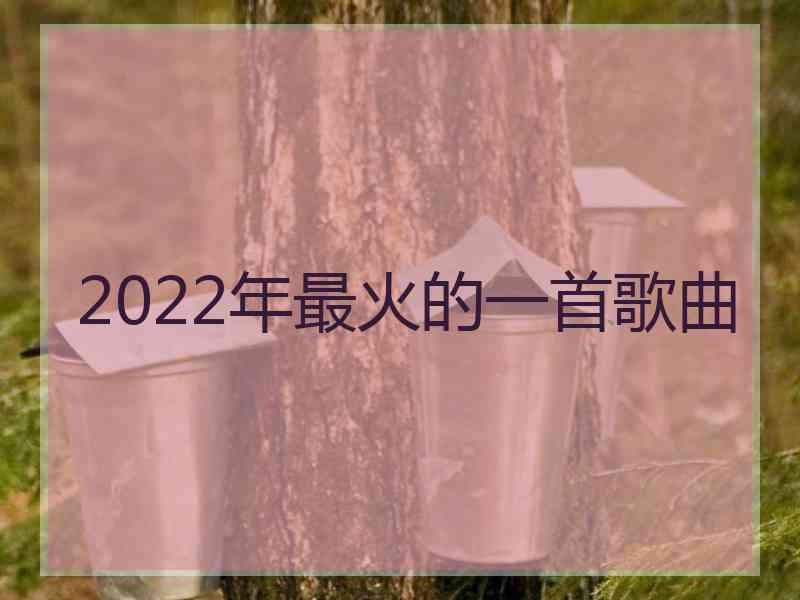 2022年最火的一首歌曲