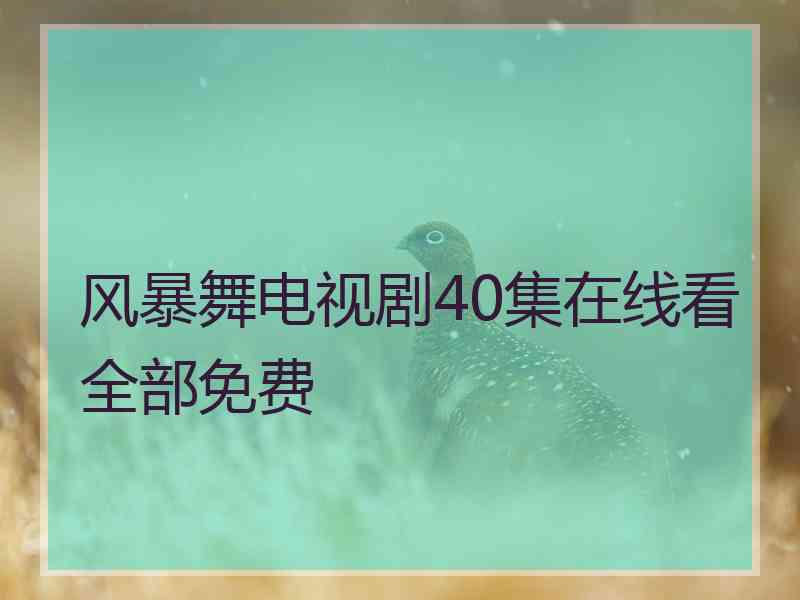 风暴舞电视剧40集在线看全部免费