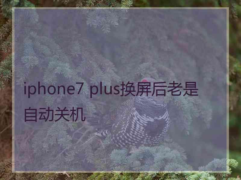 iphone7 plus换屏后老是自动关机