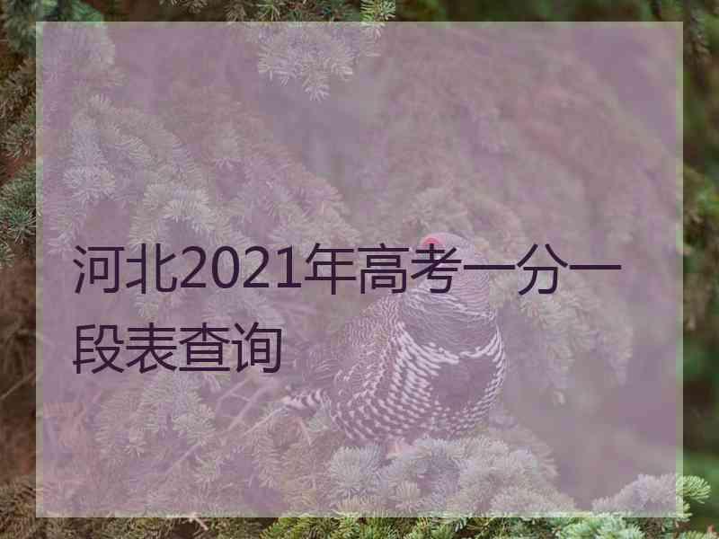 河北2021年高考一分一段表查询