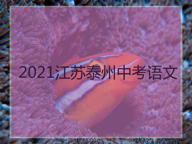 2021江苏泰州中考语文