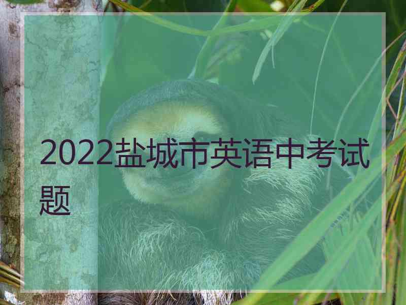 2022盐城市英语中考试题