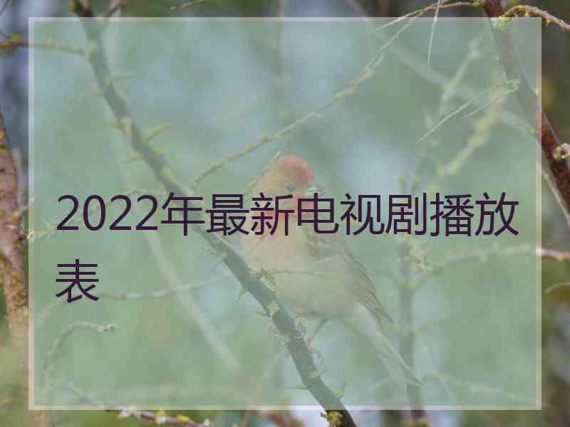 2022年最新电视剧播放表