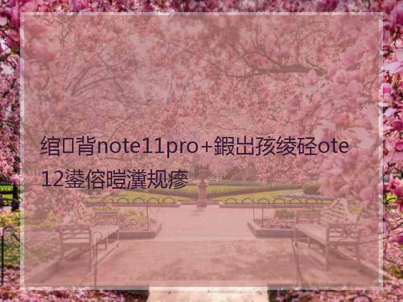 绾㈢背note11pro+鍜岀孩绫硁ote12鍙傛暟瀵规瘮