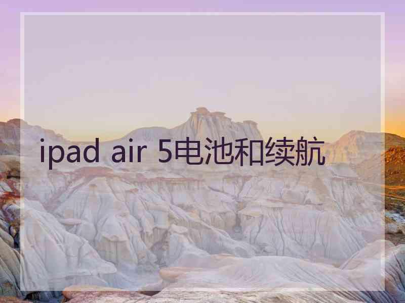 ipad air 5电池和续航