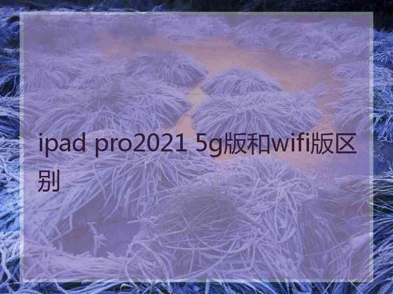 ipad pro2021 5g版和wifi版区别