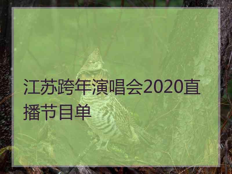 江苏跨年演唱会2020直播节目单