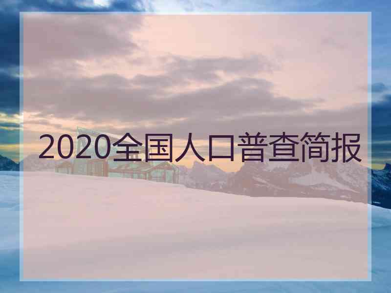 2020全国人口普查简报