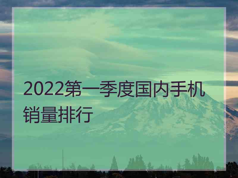 2022第一季度国内手机销量排行