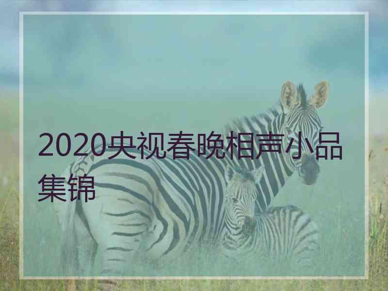 2020央视春晚相声小品集锦