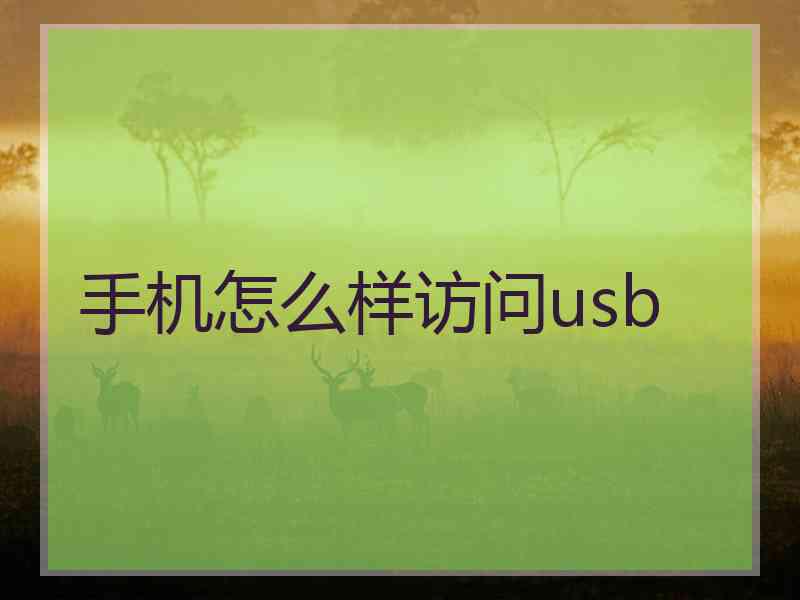 手机怎么样访问usb