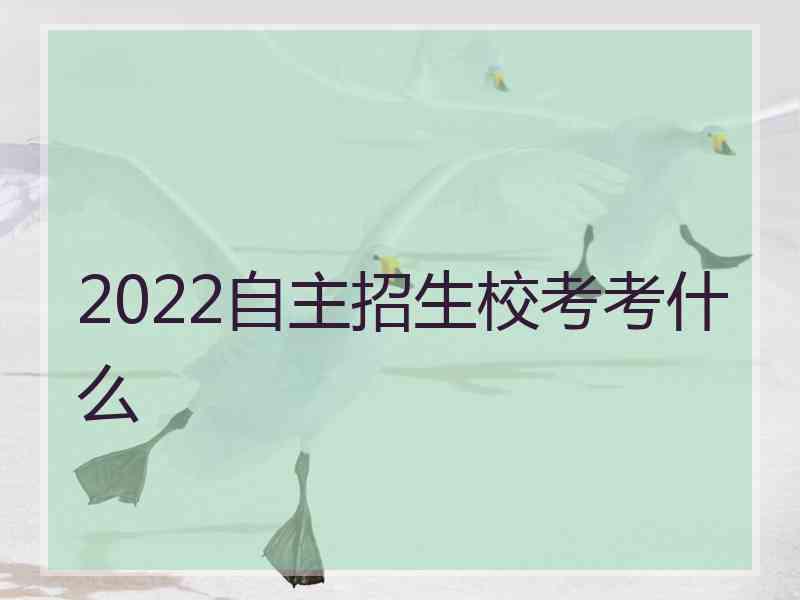 2022自主招生校考考什么