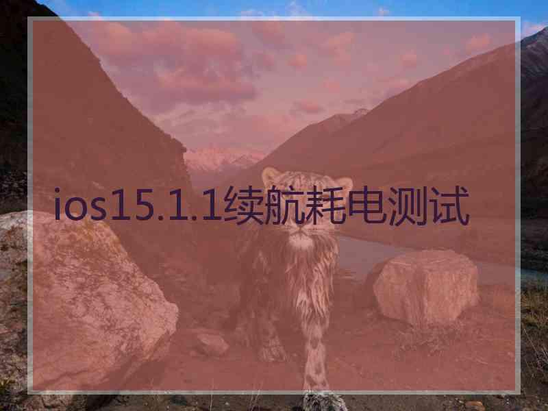 ios15.1.1续航耗电测试