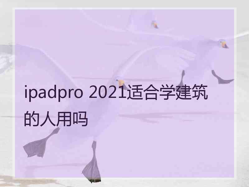 ipadpro 2021适合学建筑的人用吗