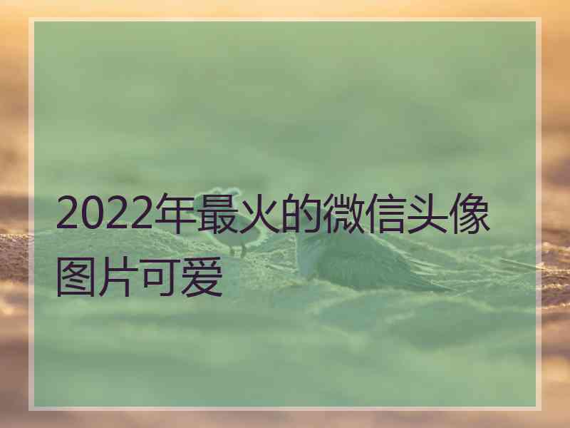 2022年最火的微信头像图片可爱