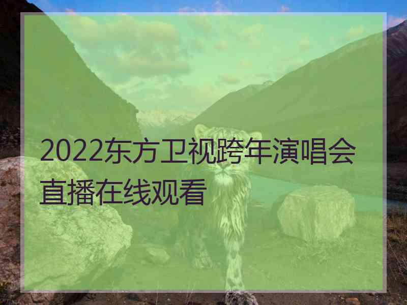 2022东方卫视跨年演唱会直播在线观看