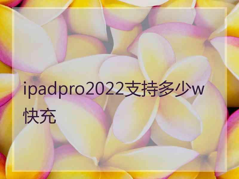 ipadpro2022支持多少w快充