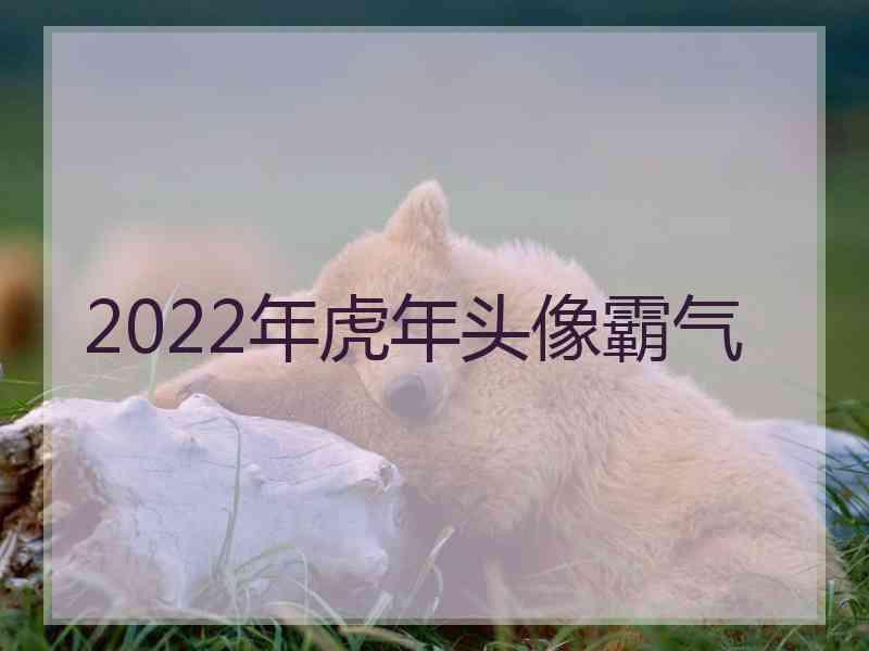 2022年虎年头像霸气