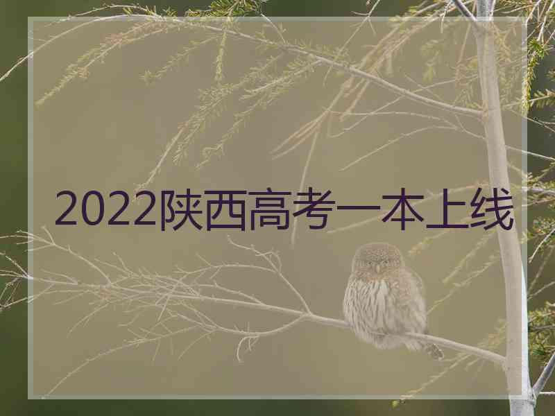 2022陕西高考一本上线