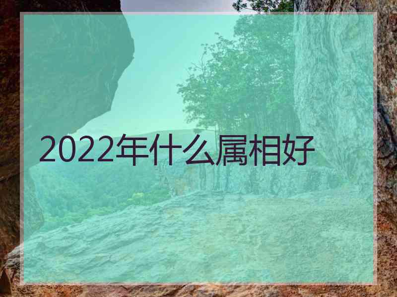 2022年什么属相好