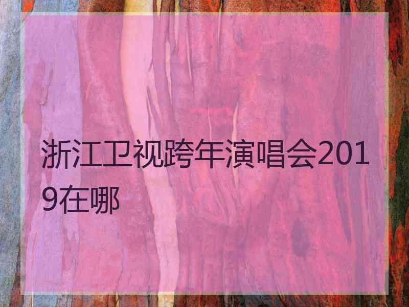 浙江卫视跨年演唱会2019在哪