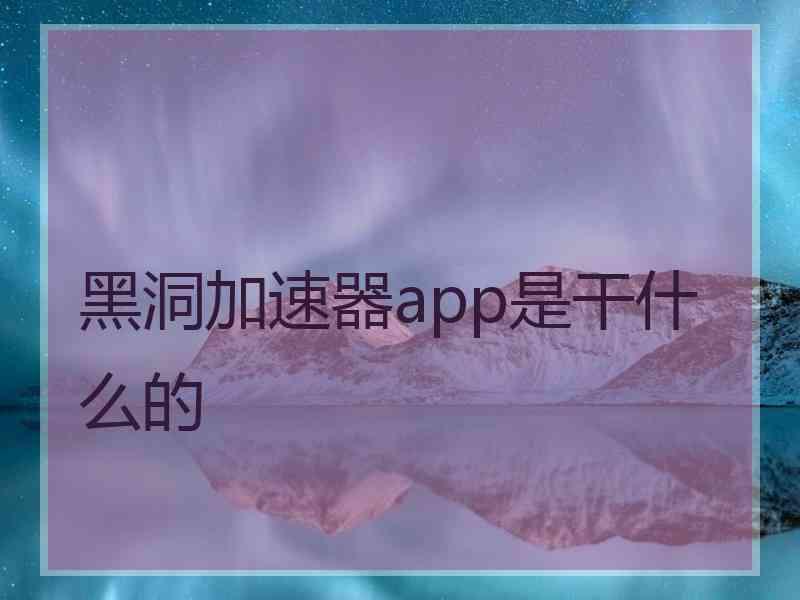 黑洞加速器app是干什么的