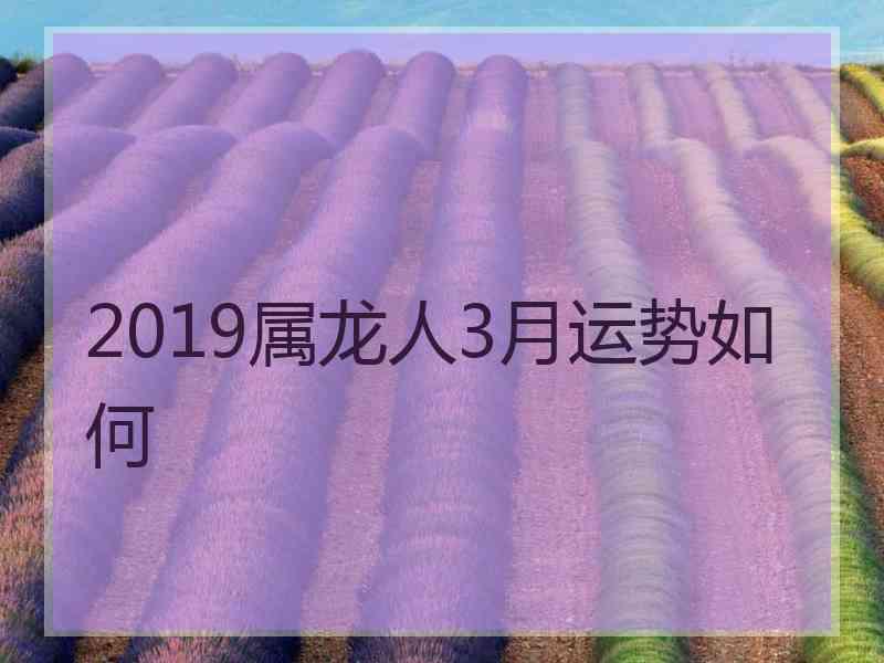 2019属龙人3月运势如何