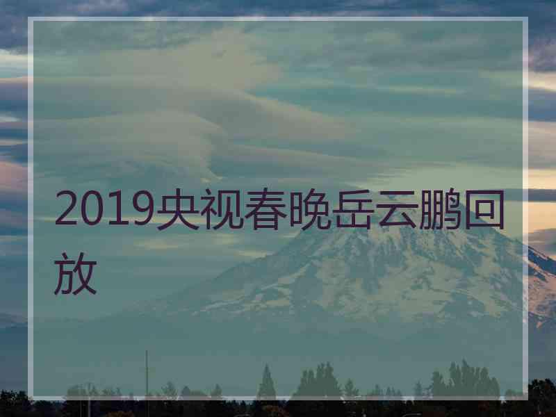 2019央视春晚岳云鹏回放