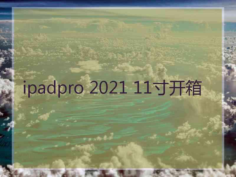 ipadpro 2021 11寸开箱