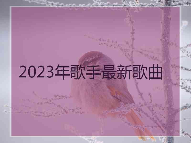 2023年歌手最新歌曲