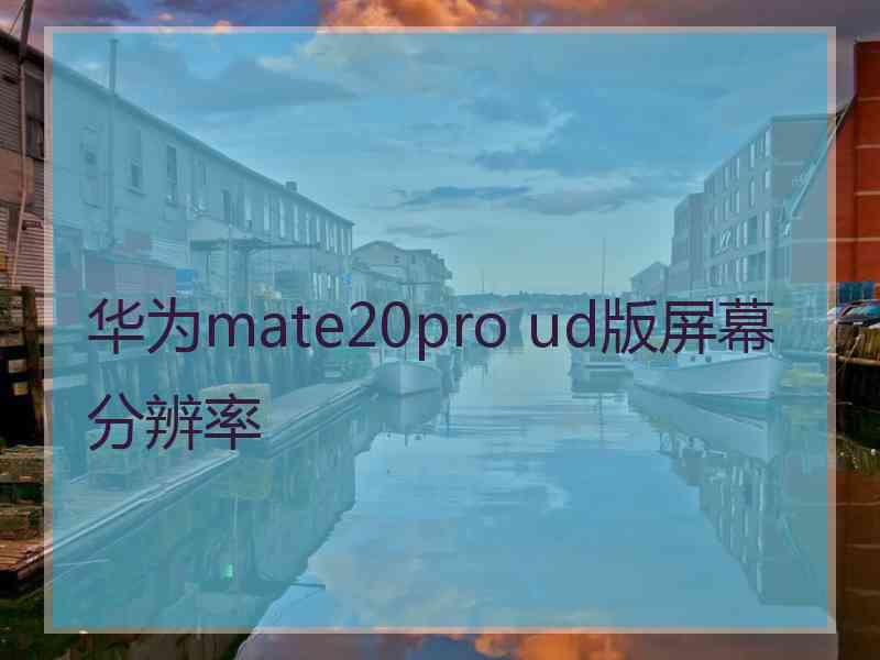 华为mate20pro ud版屏幕分辨率