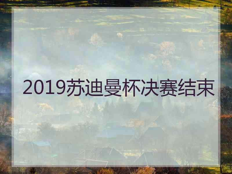 2019苏迪曼杯决赛结束