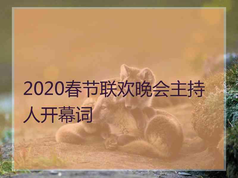 2020春节联欢晚会主持人开幕词