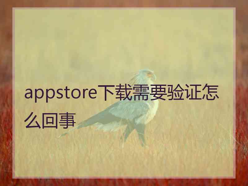 appstore下载需要验证怎么回事