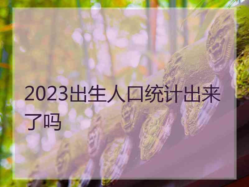 2023出生人口统计出来了吗