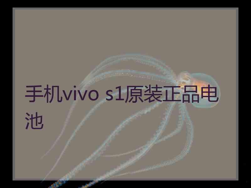 手机vivo s1原装正品电池