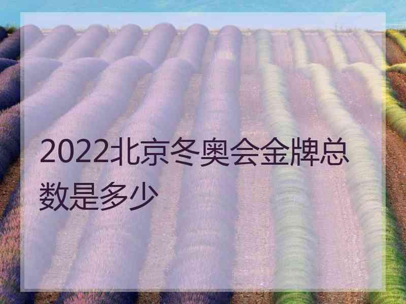 2022北京冬奥会金牌总数是多少