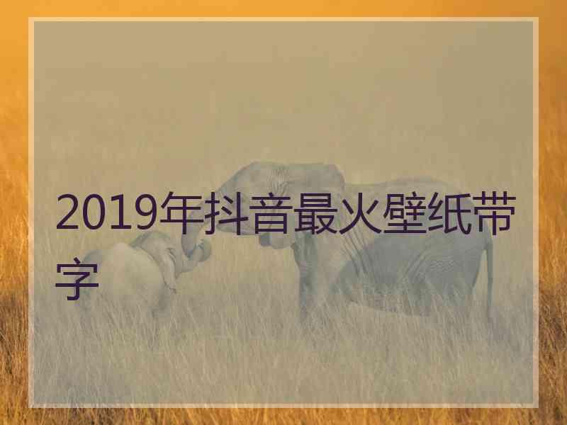 2019年抖音最火壁纸带字