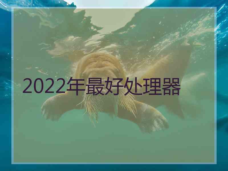 2022年最好处理器