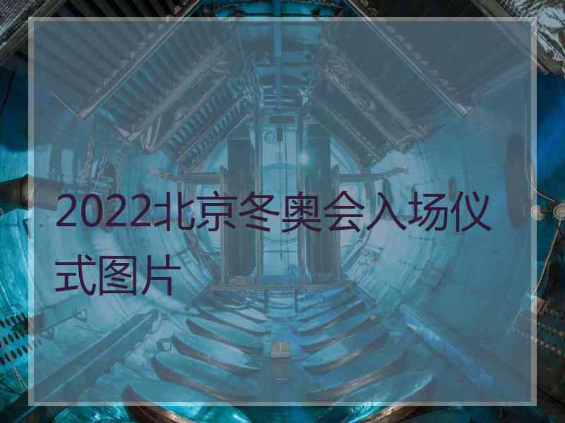 2022北京冬奥会入场仪式图片