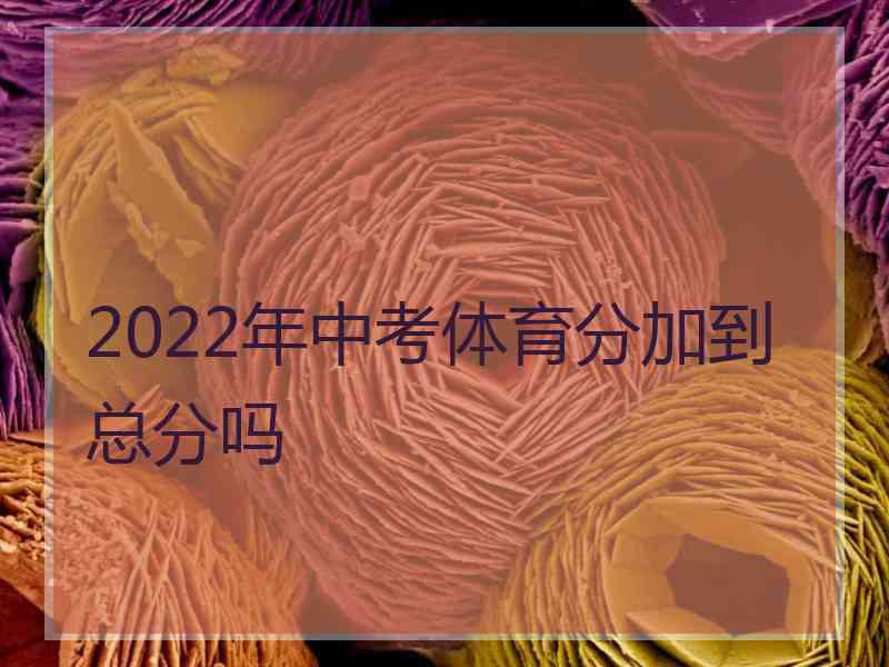 2022年中考体育分加到总分吗