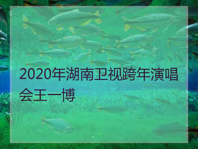 2020年湖南卫视跨年演唱会王一博