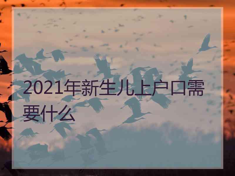 2021年新生儿上户口需要什么