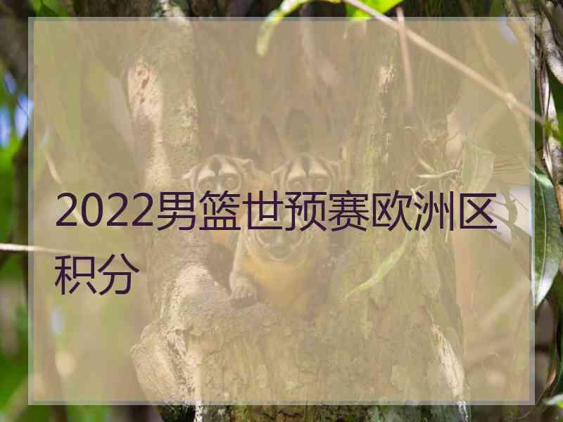 2022男篮世预赛欧洲区积分