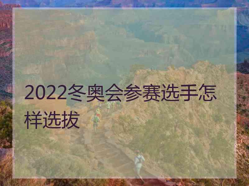 2022冬奥会参赛选手怎样选拔