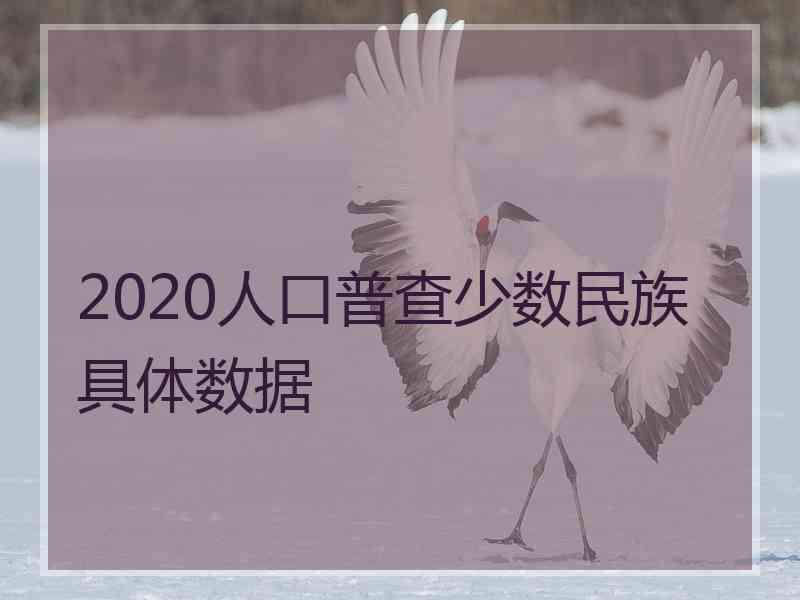 2020人口普查少数民族具体数据