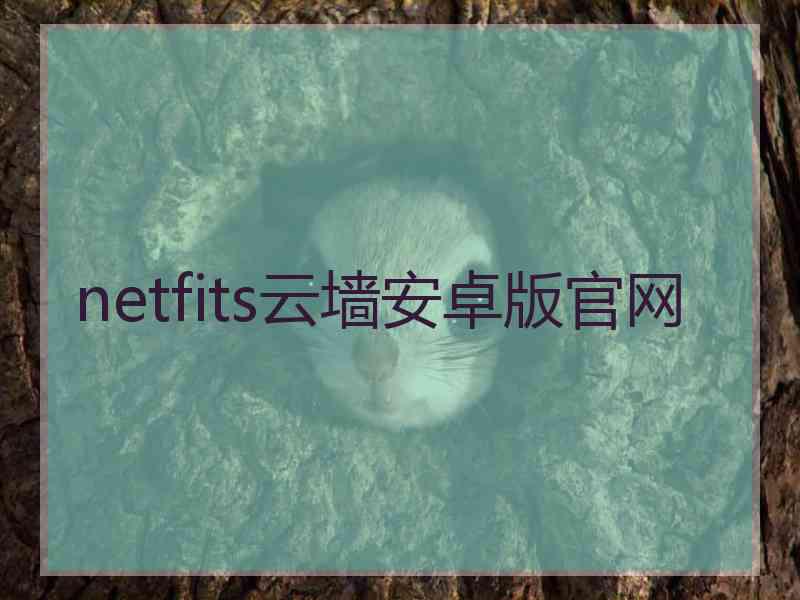 netfits云墙安卓版官网