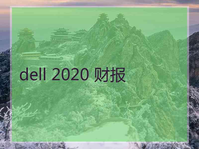 dell 2020 财报